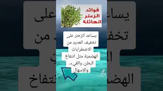 فوائد الزعتر الهائلة فوائد