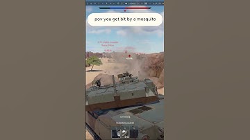 Pov: You got bit by a mosquito  #warthunder