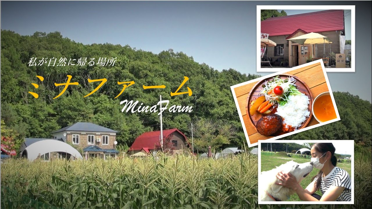 きたひろ Tv ミナファーム 農家カフェ蔵楽 ドッグガーデン ガーデンファーム カフェ 私が自然に帰る場所 北広島市 Youtube
