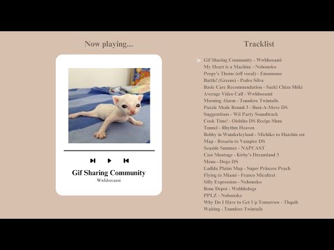 A Legally Illegal Silly Playlist to Commit Tax Fraud