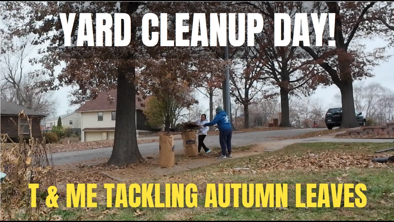 Fall Yard Cleanup | Turning Yard Work into Fun Moments! - YouTube
