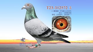 【尹培華】T23-312572