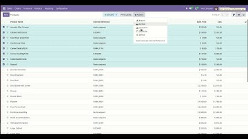 Internal Reference Generator Odoo V18