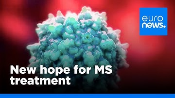 Discovery about regulatory T cells could help treat diseases such as MS | euronews 🇬🇧