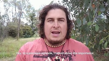 Why You Should Wait Before Updating To WordPress 5.0