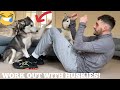 Hilarious Huskies Refuses To Let Dad Workout! [TRY NOT TO LAUGH!!]