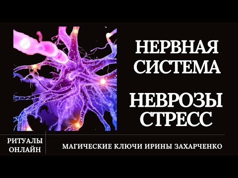 Невроз. Стресс. Срыв. Агрессии. При слабой нервной системе.