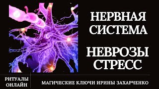 Невроз. Стресс. Срыв. Агрессии. При Слабой Нервной Системе.