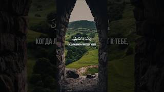 ﷽ 🎙️Махди аш-Шишани 🌴📚 Сура Аль-Мунафикун