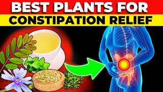 6 Best Medicinal Plants for Quick Constipation Relief by Incredibly Healthy 833 views 2 weeks ago 11 minutes, 17 seconds