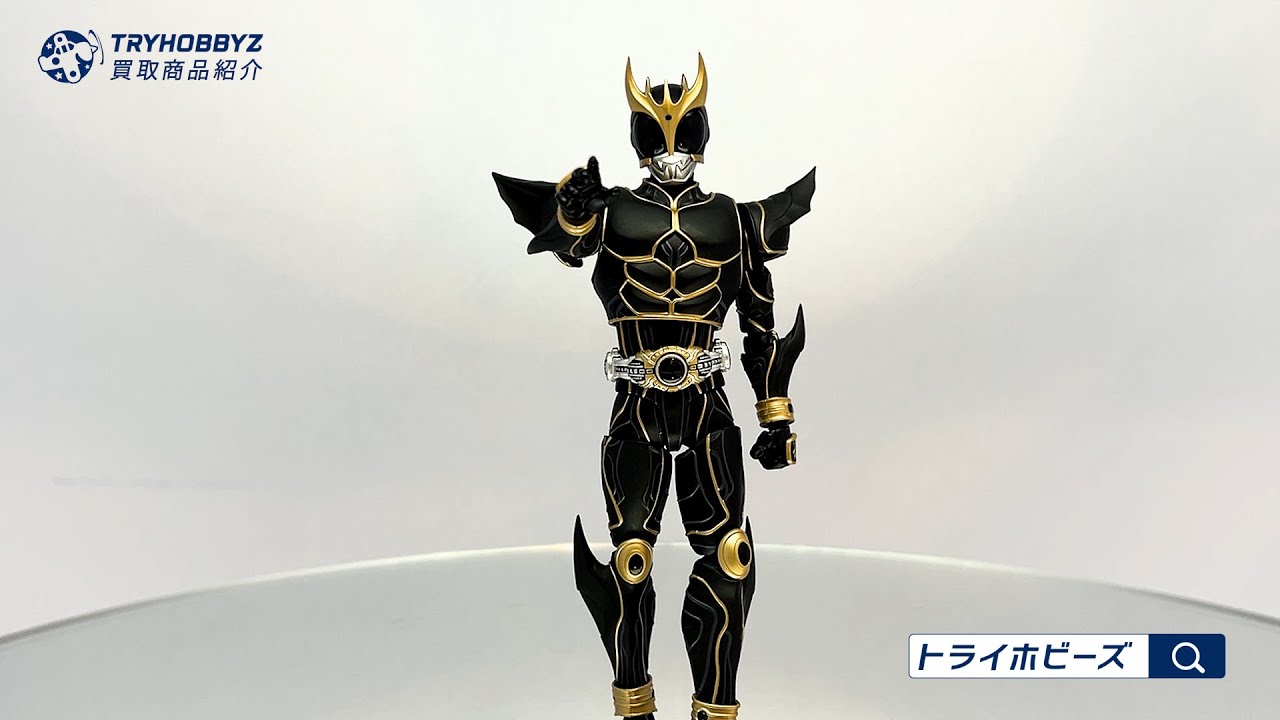 バンダイ S.H.Figuarts 真骨彫製法 仮面ライダークウガ