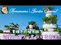 【寄せ植え】素焼きの植木鉢をアレンジして、可愛いタワーを作る方法　#いちご　#すみれ　#ハーブ