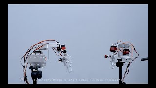 특이한 Flute 연주 , 뉴미디어아트 &amp; Servotics Music