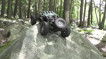 Vaterra Twin Hammers Action