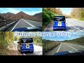 【Autumn leaves drive】Drive around the Route 289 (Koshi road)