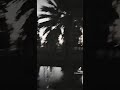 جاني الخاين والاناني 