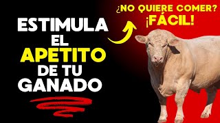 Cómo Estimular El Apeo Del Ganado No Quiere Comer? Fácil Solución