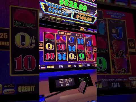 Tiki Casino: Pelatse kasinoa verkossa – Tarkista nyt tämä arvostelu!