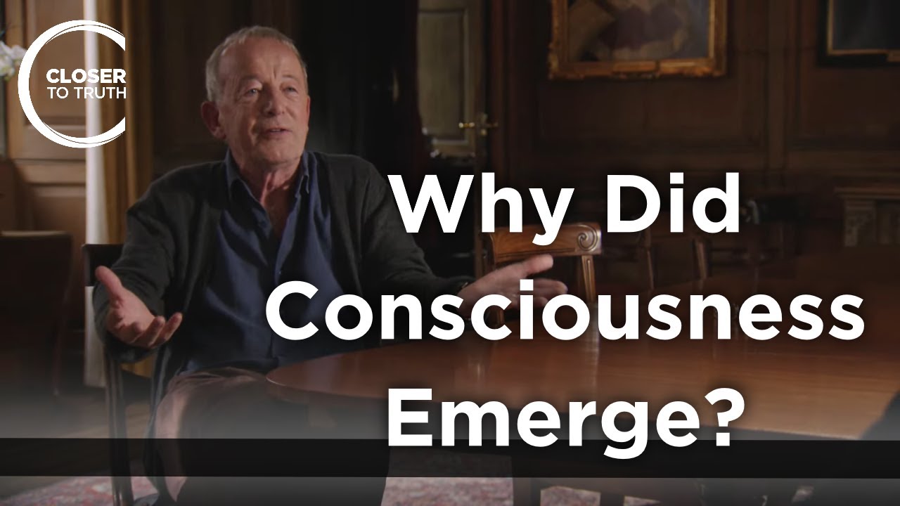 Nicholas Humphrey Why Did Consciousness Emerge? YouTube
