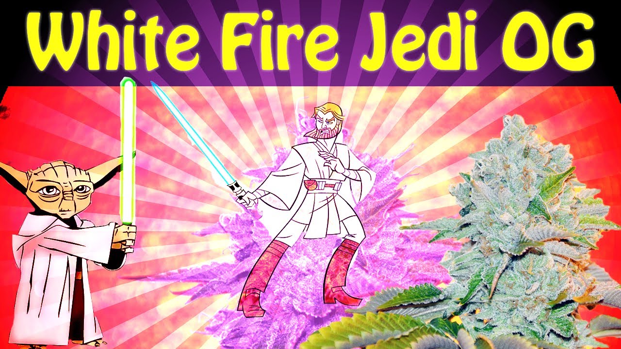 Strain Review: White Fire Jedi OG from Fox Street