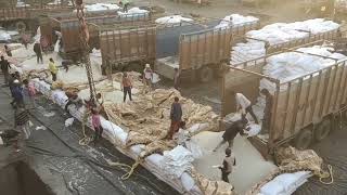 Download Lagu Kandla Port Loading Rice In Bulk On Our Way To Another Success MP3