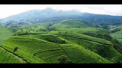 Sunda Rasta - Memory Cianjur - Durasi: 3:53. Sunda Rasta - Memory Cianjur - Durasi: 3:53.