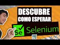 TIPOS DE ESPERA en SELENIUM WEBDRIVER | Tutorial de Selenium WebDriver