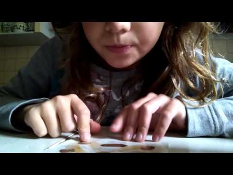 Dégustation De Gâteau Anglais 