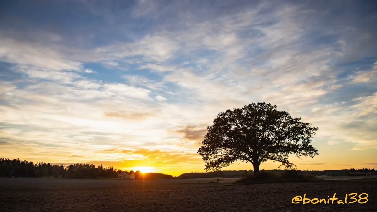 WE BELONG - 🎶 Emotional Song dedicated  to my Grandparents 💙