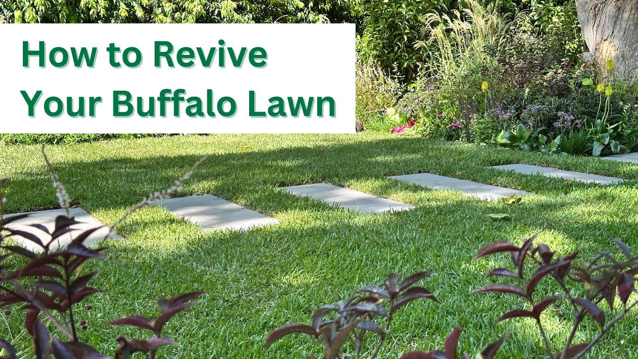 How to Mow Buffalo Grass: Essential Tips for a Perfect Lawn