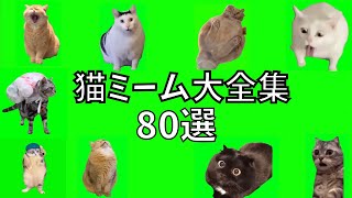 【猫ミーム 大全集 80選】 Cat memes green screen