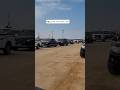 موكب الشيخ ابراهيم العرجاني   