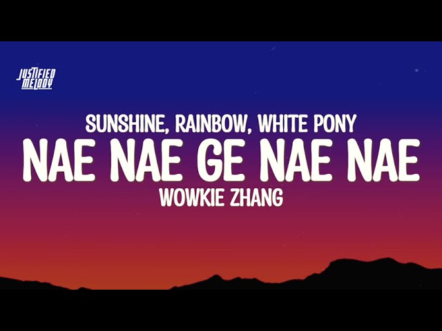 Nae Nae Ge Nae Nae" | Wowkie Zhang - Sunshine, Rainbow, White Pony (Lyrics)