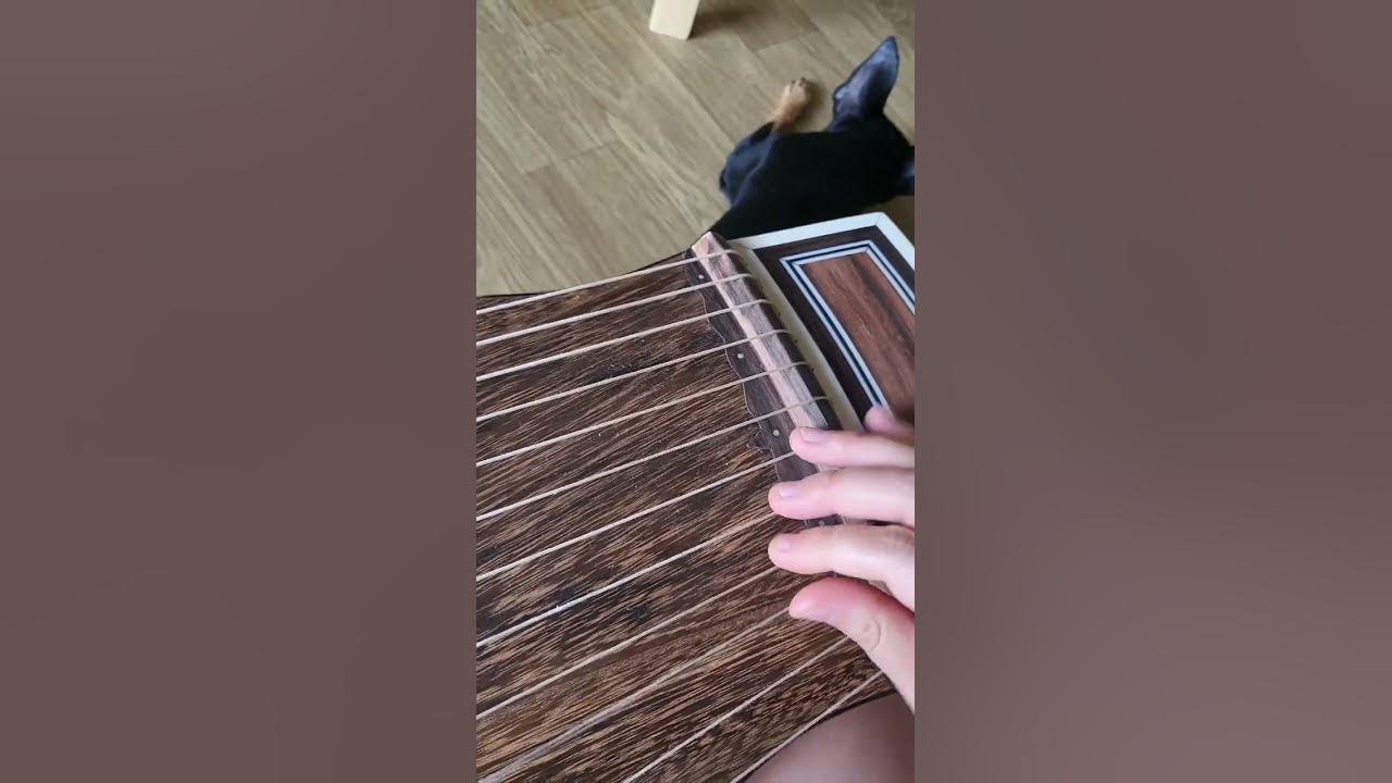 mbc문화방송 가야금 커버