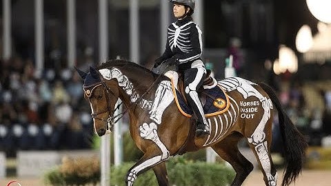 Gillian Higgins & Horses Inside Out Demonstration at the Winter Equestrian Festival