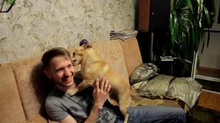 Собака встречает хозяина после долгой разлуки Собака встречает хозяина после долгой разлуки