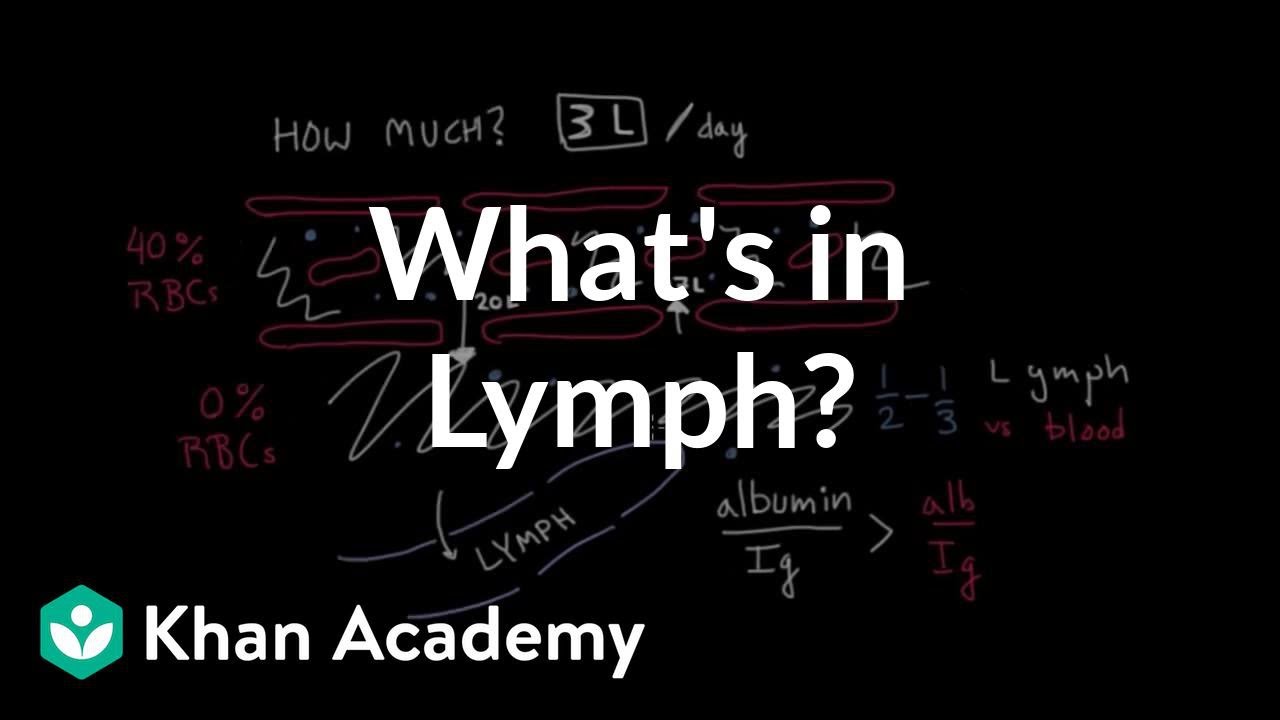 What Is Actually In Lymph Video Khan Academy