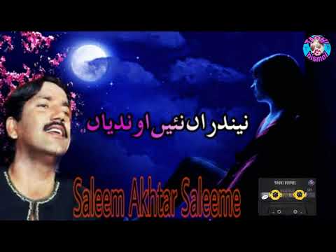 Neendaran Naeen Aondyan || Saleem Akhtar Saleemi Punjabi and Saraiki song Saleemi Music