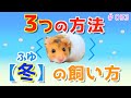 【ハムスター】冬の飼い方❣️３つの簡単な方法♪