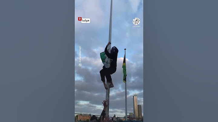 شاهد.. متظاهرون في  روتردام بهولندا يحرقون علم إسرائيل ويرفعون مكانه علم فلسطين