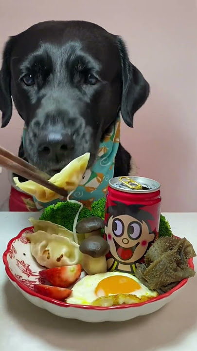 ASMR Dog Eating Challenge 🐶 | Black Labrador Tries Everything! #dog #blackdog #petflixchef