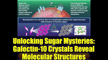 Unlocking Sugar Mysteries: Galectin-10 Crystals Reveal Molecular Structures