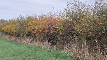 Hillosophy 2025 - Staverton Part 37