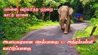 Very Dangerous Valparai to Athirapally Bus Journey | பஸ்ஸை வழிமரித்த கபாலி யானை | Jolly Trip