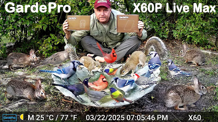 GardePro X60P Live Max Cellular Trail Camera Review