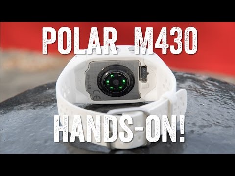 polar m430 dimensions