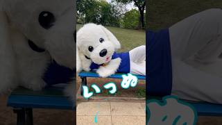 ヒップホップを踊る着ぐるみ犬⁉️ボクのダンス見て?ダンス動画 着ぐるみ トイプードル