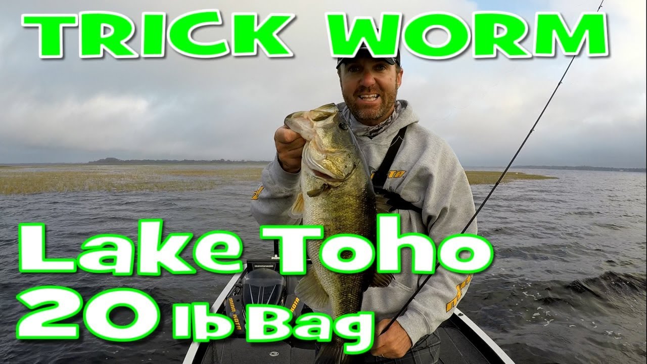 How to Fish a Texas Rigged Trick Worm - Lake Toho 