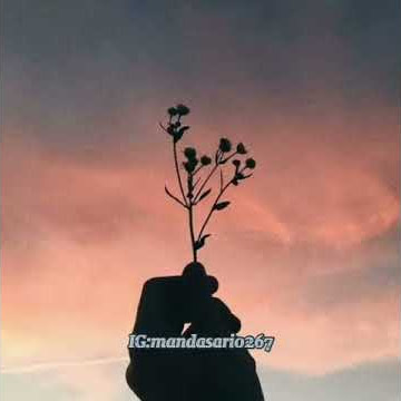 Story WA Singkat  | Story Terbaru.  Literasi Islami ~ Musik  Maula Ya Sallim .
