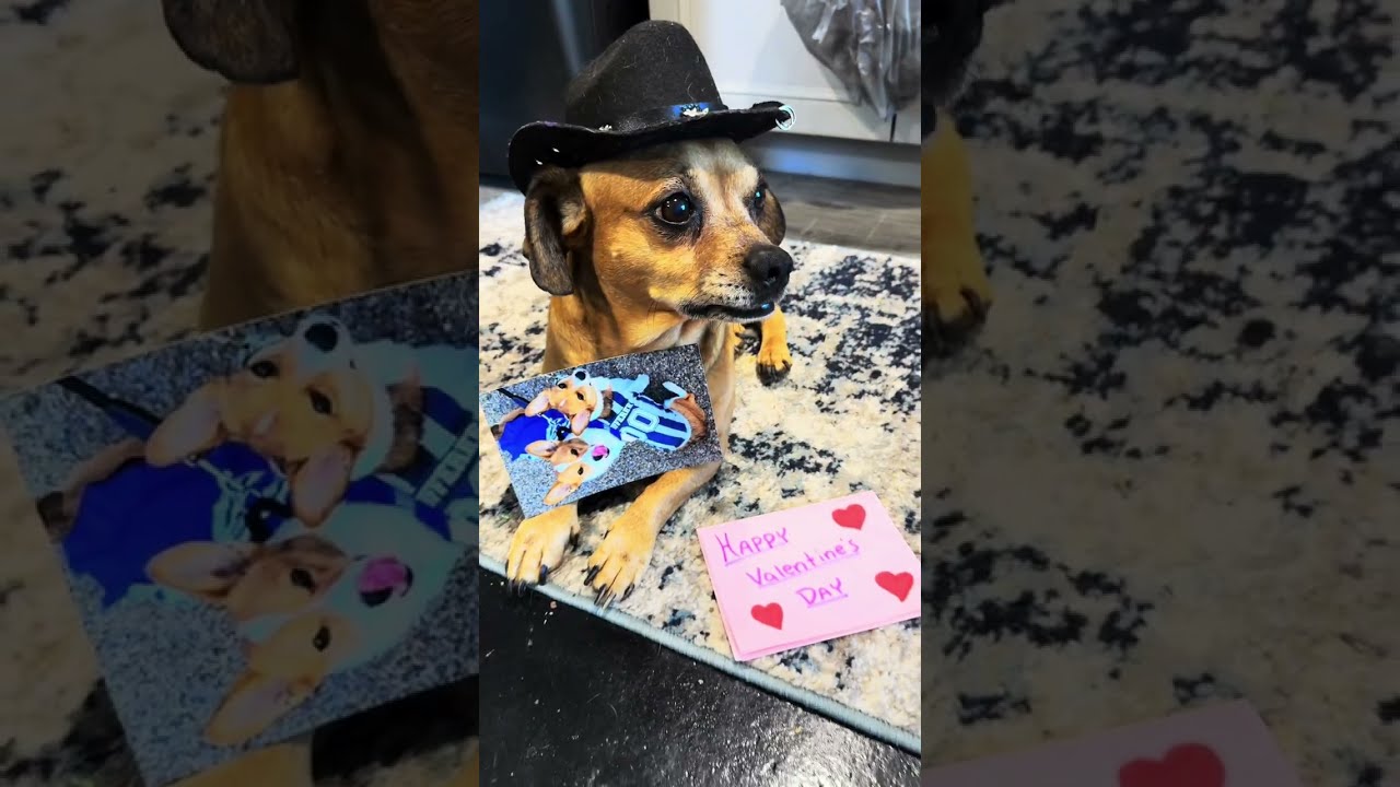 Minion receives things  Thanks guys